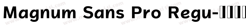 Magnum Sans Pro Regu字体转换